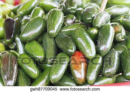 Close-up of gherkins View Large Photo Image Stock Photography - Close-up of gherkins. Fotosearch