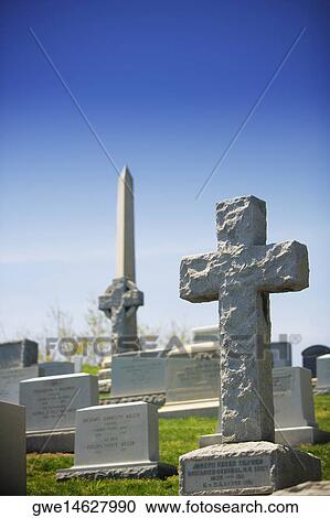 Close-up of graves View Large Photo Image Stock Image - Close-up of graves. Fotosearch