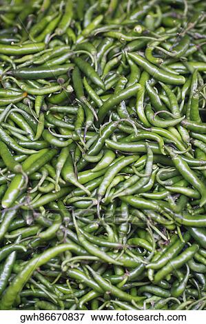 Close-up of green chili peppers View Large Photo Image Stock Photo - Close-up of green chili peppers. Fotosearch