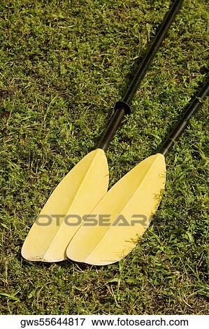 Stock Photo - Close-up of two oars. Fotosearch