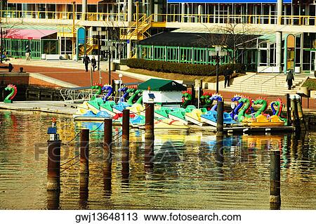 Dragon boats docked at a harbor, Inner Harbor, Baltimore, Maryland, USA View Large Photo Image Stock Image - Dragon boats docked at a harbor, Inner Harbor, Baltimore, Maryland, USA. Fotosearch