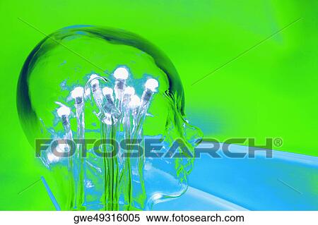 Electric light in a glass mannequin View Large Photo Image Stock Photography - Electric light in a glass mannequin. Fotosearch