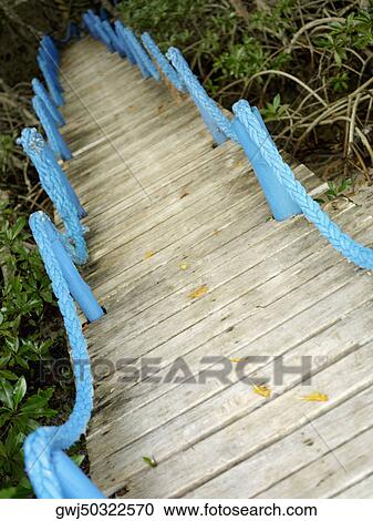 Stock Image - High angle view of a footbridge. Fotosearch