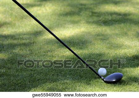 High angle view of a golf ball and a golf club on a golf course View Large Photo Image Stock Photography - High angle view of a golf ball and a golf club on a golf course. Fotosearch