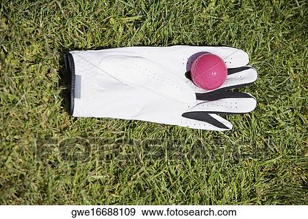 Stock Photo - High angle view of a golf ball on a golf glove. Fotosearch