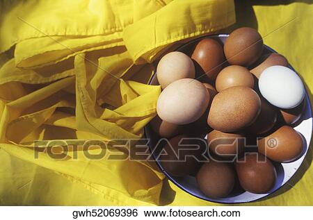 High angle view of eggs in a bowl View Large Photo Image Stock Photograph - High angle view of eggs in a bowl. Fotosearch