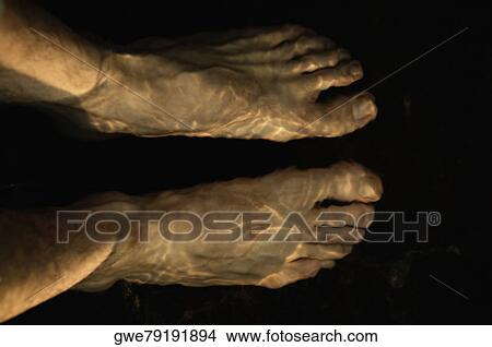 Picture - High angle view of human legs underwater. Fotosearch