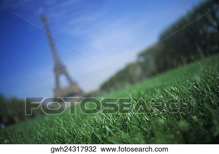 Stock Image - Lawn in front of a tower, Eiffel Tower, Paris, France. Fotosearch