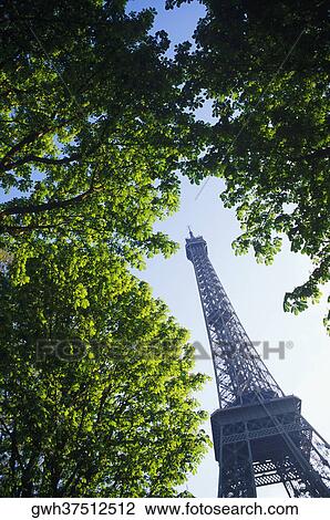 Low angle view of a tower, Eiffel Tower, Paris, France View Large Photo Image Stock Image - Low angle view of a tower, Eiffel Tower, Paris, France. Fotosearch