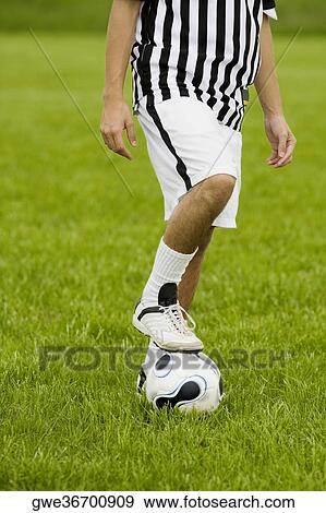Low section view of a soccer player resting his foot on a soccer ball View Large Photo Image Stock Photo - Low section view of a soccer player resting his foot on a soccer ball. Fotosearch