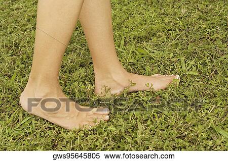 Low section view of human legs View Large Photo Image Stock Photography - Low section view of human legs. Fotosearch