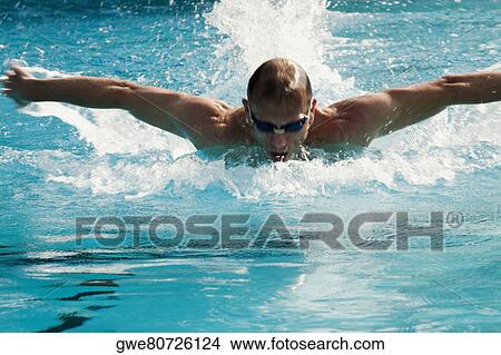 Picture - Mid adult man swimming in a swimming pool. Fotosearch