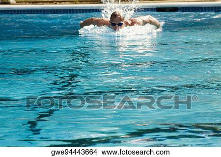 Picture - Mid adult man swimming in a swimming pool. Fotosearch
