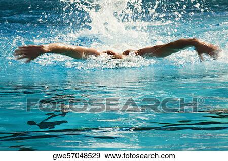 Mid adult man swimming in a swimming pool View Large Photo Image Stock Photo - Mid adult man swimming in a swimming pool. Fotosearch