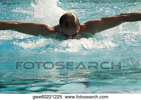 Mid adult man swimming in a swimming pool View Large Photo Image Stock Photography - Mid adult man swimming in a swimming pool. Fotosearch