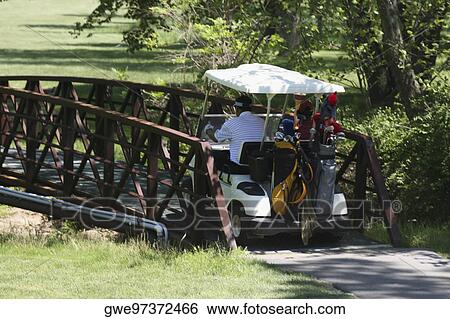 Rear view of a man riding a golf cart View Large Photo Image Stock Photograph - Rear view of a man riding a golf cart. Fotosearch