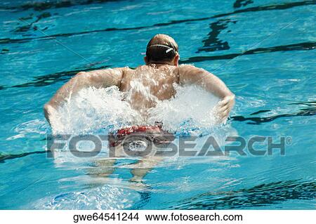 Rear view of a mid adult man swimming in a swimming pool View Large Photo Image Picture - Rear view of a mid adult man swimming in a swimming pool. Fotosearch