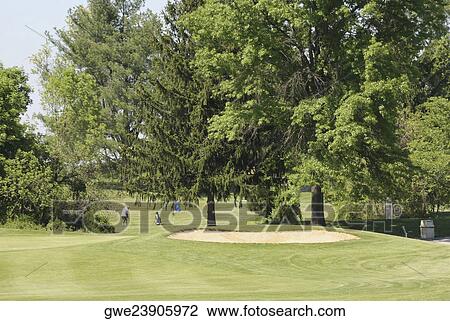 Stock Image - Rear view of a person playing golf. Fotosearch