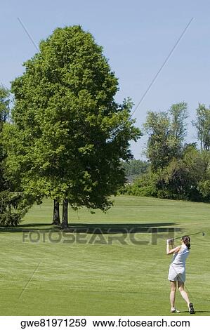 Rear view of a woman playing golf on a golf course View Large Photo Image Stock Photo - Rear view of a woman playing golf on a golf course. Fotosearch
