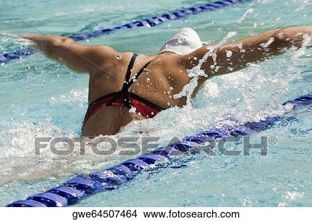 Rear view of a woman swimming in a swimming pool View Large Photo Image Picture - Rear view of a woman swimming in a swimming pool. Fotosearch