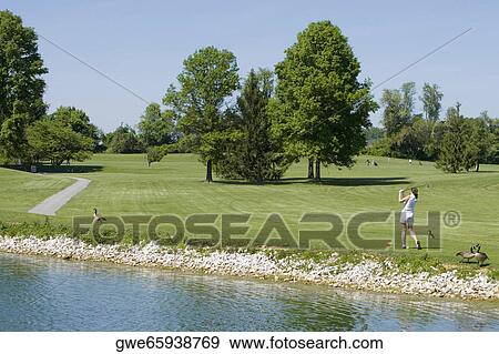 Stock Photo - Rear view of a woman swinging a golf club near a lake. Fotosearch
