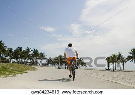 Rear view of a young man cycling on the road View Large Photo Image Stock Photo - Rear view of a young man cycling on the road. Fotosearch
