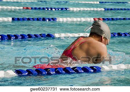 Rear view of a young woman swimming in a swimming pool View Large Photo Image Stock Image - Rear view of a young woman swimming in a swimming pool. Fotosearch