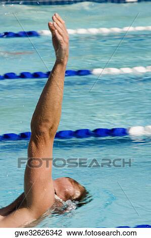 Stock Image - Side profile of a mid adult man swimming in a swimming pool. Fotosearch