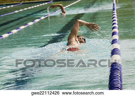Side profile of a mid adult man swimming in a swimming pool View Large Photo Image Stock Photograph - Side profile of a mid adult man swimming in a swimming pool. Fotosearch
