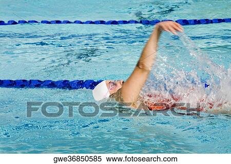 Stock Photography - Side profile of a young woman swimming in a swimming pool. Fotosearch