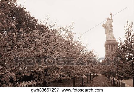 Stock Photo - Statue behind trees, Statue Of Liberty, New York City, New York State, USA. Fotosearch