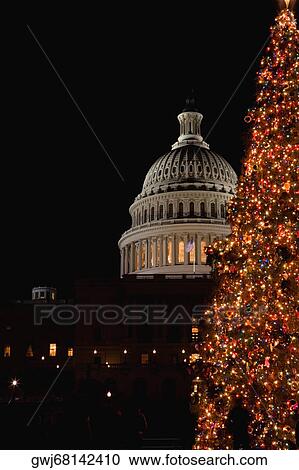 Tree in front of a government building lit up at night, Capitol building, Washington DC, USA View Large Photo Image Stock Image - Tree in front of a government building lit up at night, Capitol building, Washington DC, USA. Fotosearch