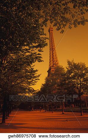 Stock Photo - Trees in front of a tower, Eiffel Tower, Paris, France. Fotosearch
