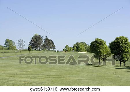 Stock Photograph - Trees on a golf course. Fotosearch