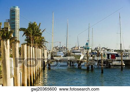 Boats moored at a harbor, Miami, Florida, USA View Large Photo Image Stock Image - Boats moored at a harbor, Miami, Florida, USA. Fotosearch