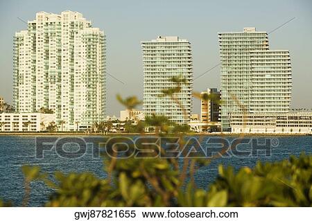 Buildings at the waterfront, Miami, Florida, USA View Large Photo Image Stock Photography - Buildings at the waterfront, Miami, Florida, USA. Fotosearch