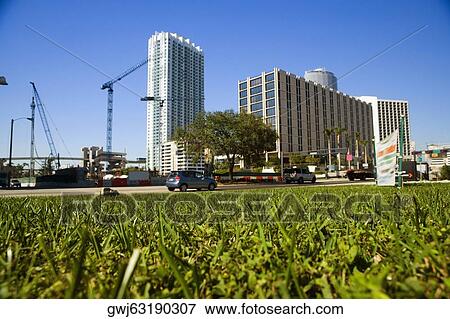 Buildings in a city, Miami, Florida, USA View Large Photo Image Stock Photo - Buildings in a city, Miami, Florida, USA. Fotosearch
