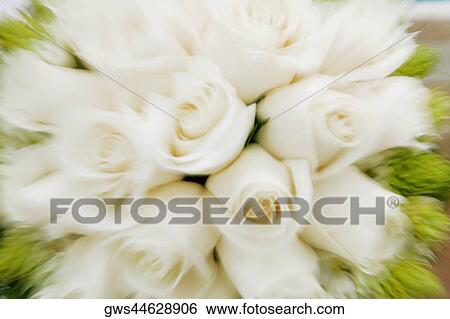 Close-up of a bouquet of white roses View Large Photo Image Stock Photograph - Close-up of a bouquet of white roses. Fotosearch