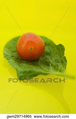 Stock Photography - Close-up of a cherry tomato on a spinach leaf. Fotosearch