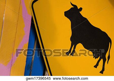 Close-up of a cow painted on a metal surface View Large Photo Image Stock Photography - Close-up of a cow painted on a metal surface. Fotosearch