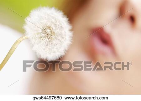 Stock Image - Close-up of a dandelion flower with a woman in the background. Fotosearch