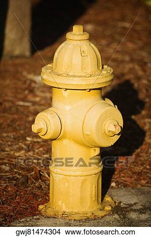 Close-up of a fire hydrant View Large Photo Image Picture - Close-up of a fire hydrant. Fotosearch