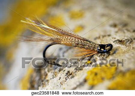 Stock Photo - Close-up of a fishing hook. Fotosearch
