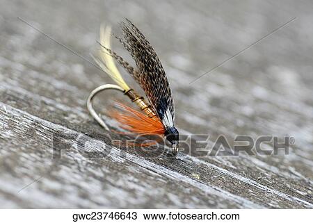 Stock Image - Close-up of a fishing lure. Fotosearch
