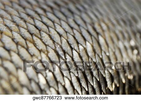 Stock Image - Close-up of a fishing net. Fotosearch