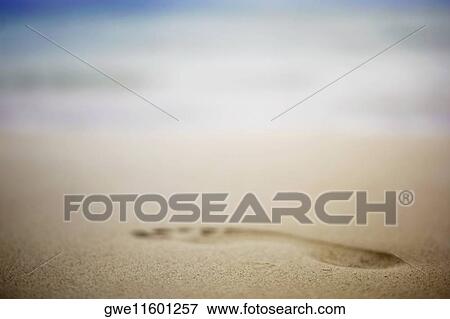 Close-up of a footprint in the sand View Large Photo Image Stock Photo - Close-up of a footprint in the sand. Fotosearch