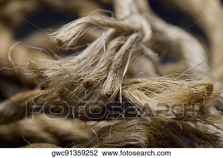 Stock Image - Close-up of a frayed rope. Fotosearch