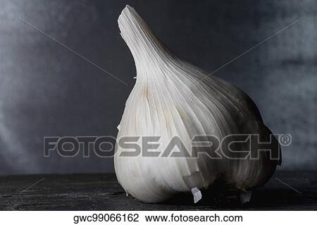 Close-up of a garlic bulb View Large Photo Image Stock Image - Close-up of a garlic bulb. Fotosearch