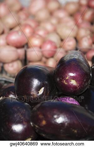 Close-up of a heap of eggplants with onions in the background View Large Photo Image Stock Photo - Close-up of a heap of eggplants with onions in the background. Fotosearch