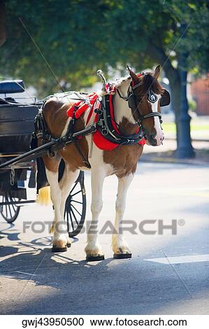 Close-up of a horse cart View Large Photo Image Stock Image - Close-up of a horse cart. Fotosearch